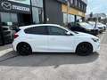 Ford Focus 1.5 EcoBlue 120 CV 5p. ST-Line NAVI RETROCAM Bianco - thumbnail 3