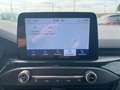 Ford Focus 1.5 EcoBlue 120 CV 5p. ST-Line NAVI RETROCAM Bianco - thumbnail 13
