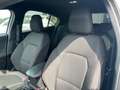 Ford Focus ST-LINE 1.5 EcoBlue 120 CV 5p. NAVI RETROCAM Wit - thumbnail 16