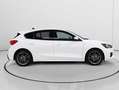 Ford Focus 1.0 Ecoboost MHEV ST Line 125 Blanco - thumbnail 2