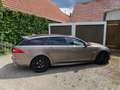 Jaguar XF XF Sportbrake Diesel 3.0 V6 Diesel Sportbrake Braun - thumbnail 10