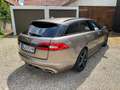 Jaguar XF XF Sportbrake Diesel 3.0 V6 Diesel Sportbrake Braun - thumbnail 9