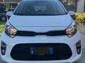 Kia Picanto Picanto+III+2021+1.0+dpi+Style+Techno Bianco - thumbnail 5