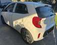 Kia Picanto Picanto+III+2021+1.0+dpi+Style+Techno Bianco - thumbnail 4
