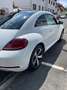 Volkswagen Beetle The Beetle 1.2 TSI Blue Motion Technologie Allstar Weiß - thumbnail 3