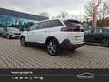 Peugeot 5008 Allure Pack PureTech 130 7 Sitze Weiß - thumbnail 3