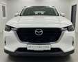 Mazda CX-60 3.3L e-SKYACTIV D EXC-LINE *MwSt*LED*Tempomat* Weiß - thumbnail 14