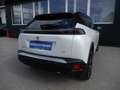 Peugeot 2008 1,5 BlueHDi 130 S&S GT EAT8 Weiß - thumbnail 8