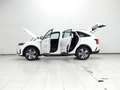 Kia Sorento 1.6 T-GDI HEV DRIVE AUTO 2WD 230 5P 7 Plazas Bianco - thumbnail 7