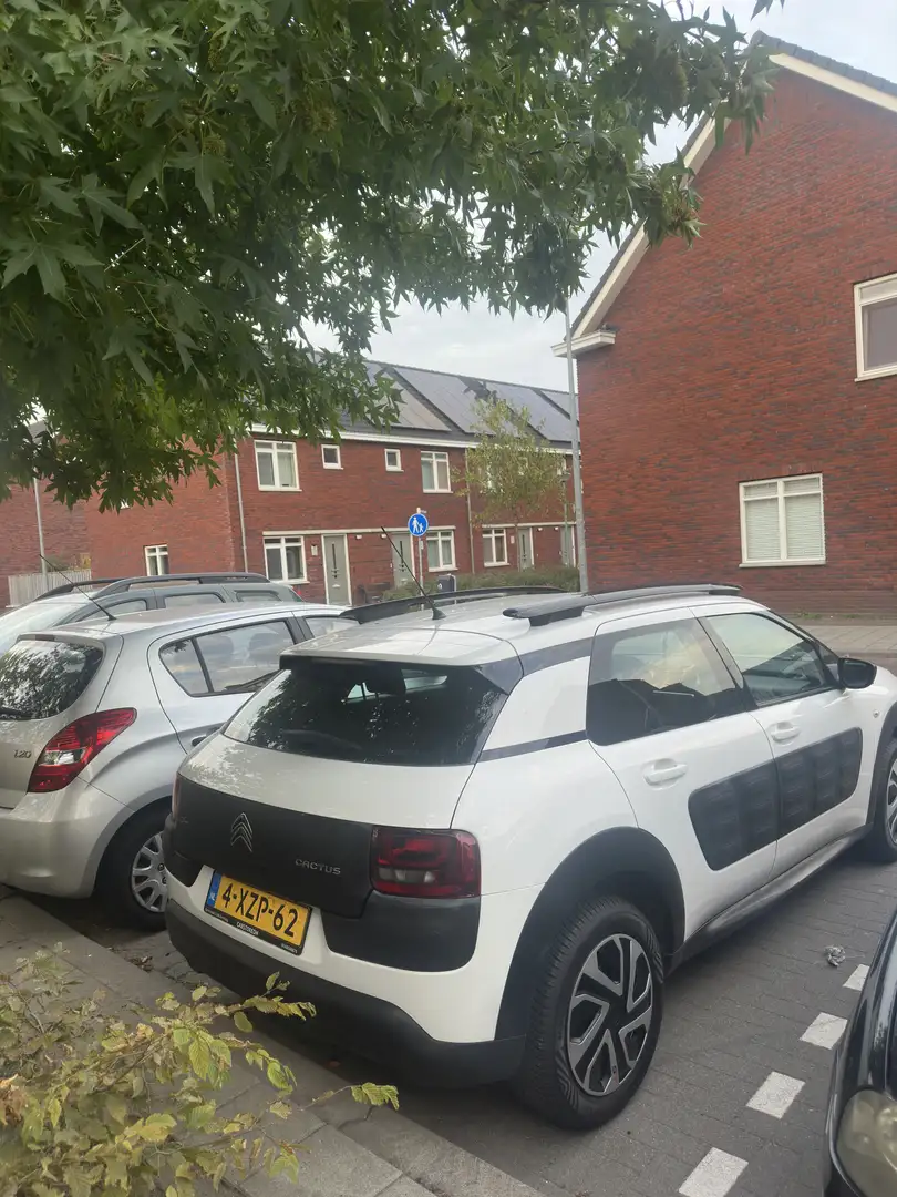Citroen C4 Cactus Citroën C4 Cactus 1.2 E-vti 82 Etg5 Airdream Wit Wit - 2