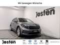 Skoda Enyaq Loft SHZ Pano ACC Navi KAM CarPlay PDC Grau - thumbnail 1