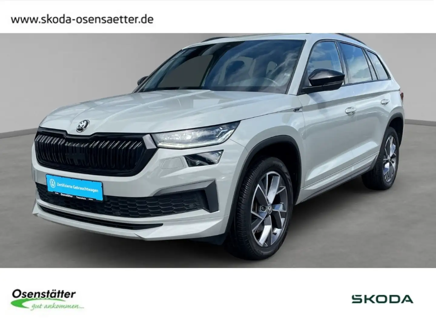 Skoda Kodiaq 2,0 TSI Sportline 4x4 Matrix Pano Navi SHZ+ Grau - 1