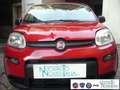 Fiat Panda 1.0 FireFly S&S Hybrid Pandina Urban Km 0 Rosso - thumbnail 2