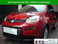 Fiat Panda 1.0 FireFly S&S Hybrid Pandina Urban Km 0 Rosso - thumbnail 1