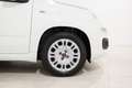 Fiat Panda 1.0 HYBRID 70cv FIREFLY  *NEO PATENTATI* Bianco - thumbnail 14