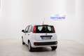 Fiat Panda 1.0 HYBRID 70cv FIREFLY  *NEO PATENTATI* Bianco - thumbnail 4