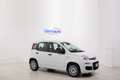 Fiat Panda 1.0 HYBRID 70cv FIREFLY  *NEO PATENTATI* Bianco - thumbnail 2