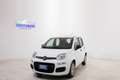 Fiat Panda 1.0 HYBRID 70cv FIREFLY  *NEO PATENTATI* Bianco - thumbnail 3