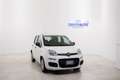 Fiat Panda 1.0 HYBRID 70cv FIREFLY  *NEO PATENTATI* Bianco - thumbnail 1