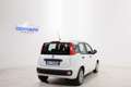 Fiat Panda 1.0 HYBRID 70cv FIREFLY  *NEO PATENTATI* Bianco - thumbnail 5