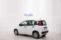 Fiat Panda 1.0 HYBRID 70cv FIREFLY  *NEO PATENTATI* Bianco - thumbnail 6