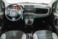 Fiat Panda 1.0 HYBRID 70cv FIREFLY  *NEO PATENTATI* Bianco - thumbnail 12