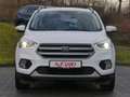 Ford Kuga 2.0 TDCi Cool&Connect 4x4 Navi Sitzheizung Weiß - thumbnail 7