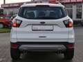 Ford Kuga 2.0 TDCi Cool&Connect 4x4 Navi Sitzheizung Weiß - thumbnail 4