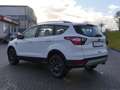 Ford Kuga 2.0 TDCi Cool&Connect 4x4 Navi Sitzheizung Weiß - thumbnail 3