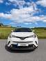Toyota C-HR 125H Advance Blanco - thumbnail 2