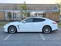 Porsche Panamera 4 DSG *ACC, AGA, TURBO RAD, S-DACH* Weiß - thumbnail 9