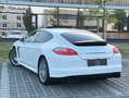 Porsche Panamera 4 DSG *ACC, AGA, TURBO RAD, S-DACH* Weiß - thumbnail 4
