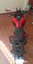 Yamaha Tracer 7 Rosso - thumbnail 5