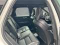 Volvo XC60 T6 Plug-In Hybrid R-Design #AHK #ACC #Luft Weiß - thumbnail 6