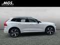 Volvo XC60 T6 Plug-In Hybrid R-Design #AHK #ACC #Luft Weiß - thumbnail 7