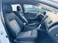 Kia Ceed / cee'd Pro_Cee´d 1.6CRDi Concept Plus Weiß - thumbnail 14