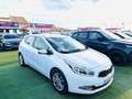 Kia Ceed / cee'd Pro_Cee´d 1.6CRDi Concept Plus Weiß - thumbnail 12