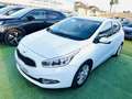 Kia Ceed / cee'd Pro_Cee´d 1.6CRDi Concept Plus Weiß - thumbnail 8