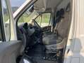 Toyota Proace Max 2.2 BlueHDi 120CV PM-TN 33Q Furgone Alb - thumbnail 10