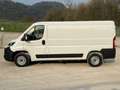 Toyota Proace Max 2.2 BlueHDi 120CV PM-TN 33Q Furgone Alb - thumbnail 5