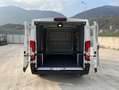 Toyota Proace Max 2.2 BlueHDi 120CV PM-TN 33Q Furgone Alb - thumbnail 14