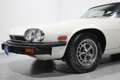 Jaguar XJ XJS 5.3 V12 Coupé Beige - thumbnail 17
