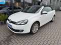 Volkswagen Golf VI Cabriolet Life*LEDER*XENON*NAVI Blanc - thumbnail 1
