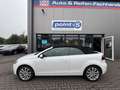 Volkswagen Golf VI Cabriolet Life*LEDER*XENON*NAVI Blanc - thumbnail 4