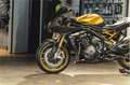 Triumph Speed Triple 1200 RR - thumbnail 9