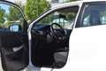 Suzuki Baleno 1.2 Limited | Airco | Stoelverwarming | Bluetooth Weiß - thumbnail 14