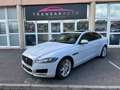 Jaguar XF 2.0 D - 240 ch BVA AWD Prestige/TOIT OUVRANT Blanc - thumbnail 1