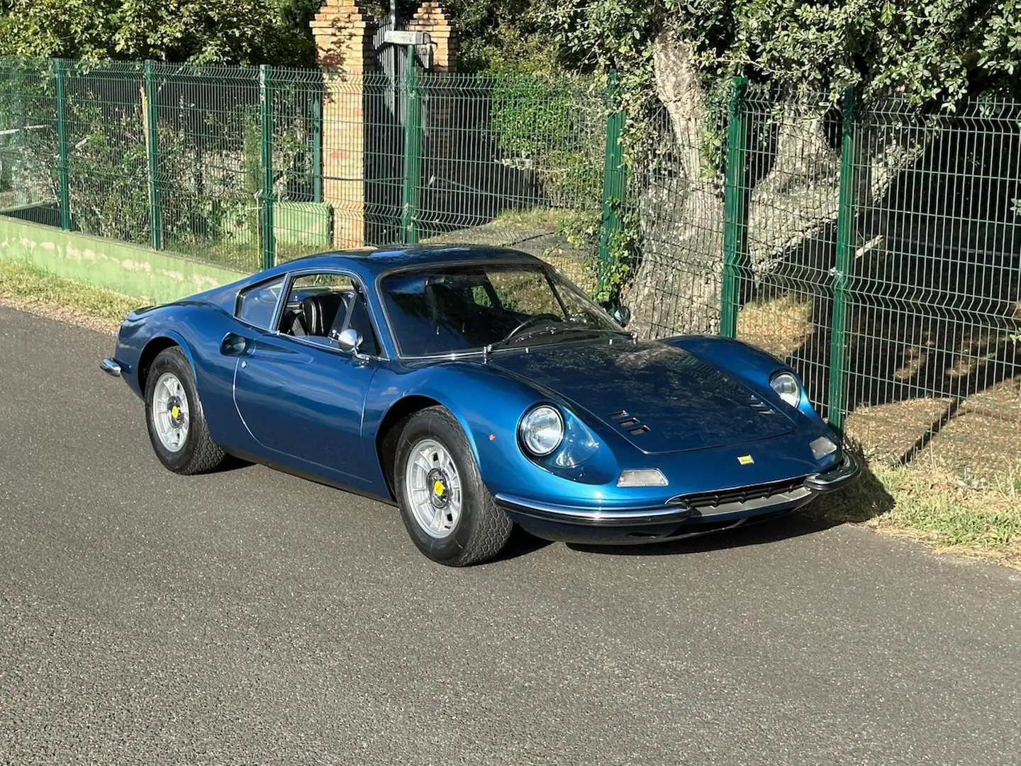 Ferrari 246 GT Blu Dino Blauw - 1