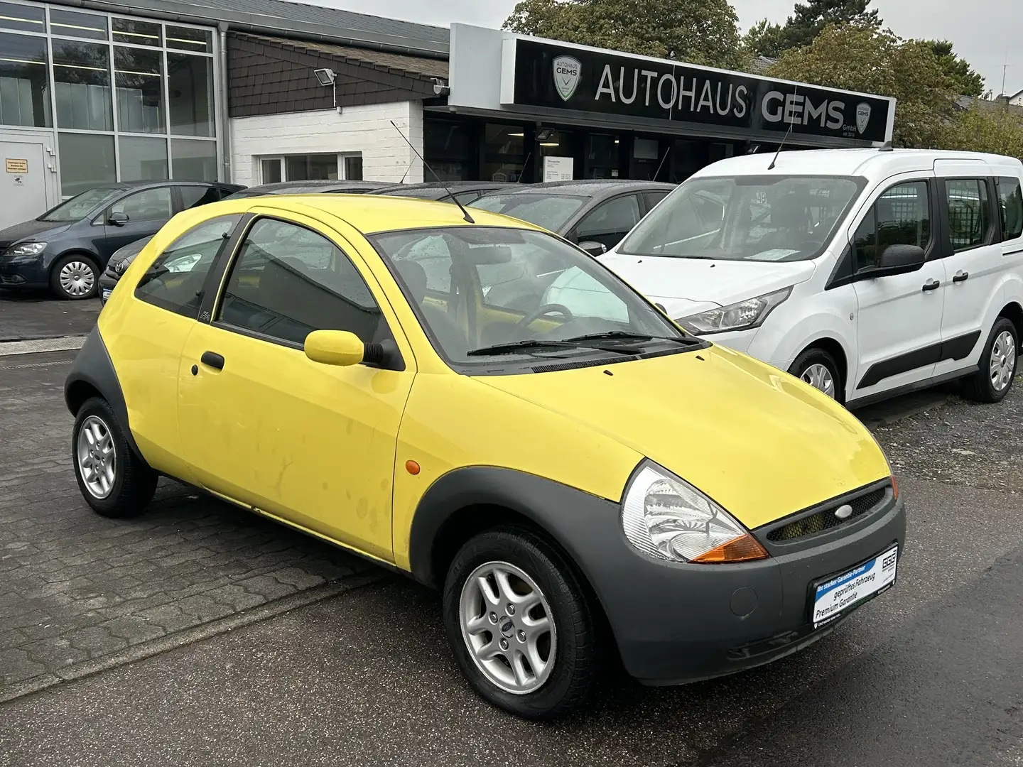 Ford Fun X Klima Giallo - 1