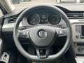 Volkswagen Passat Variant Trendline BlueMotion Grau - thumbnail 20